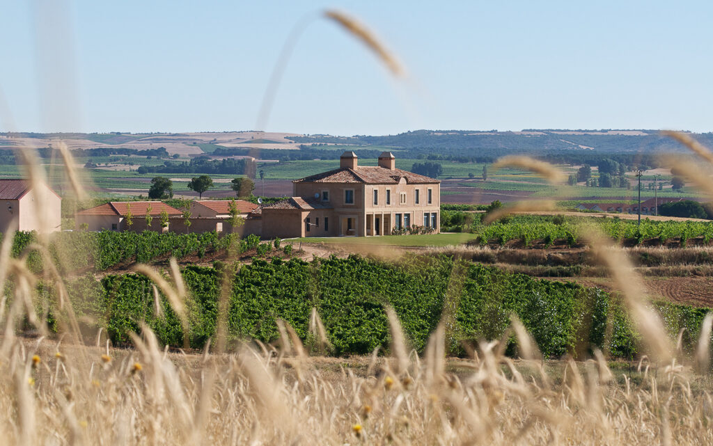 Vinos de Grandes Pagos de España en Casa Gourmet