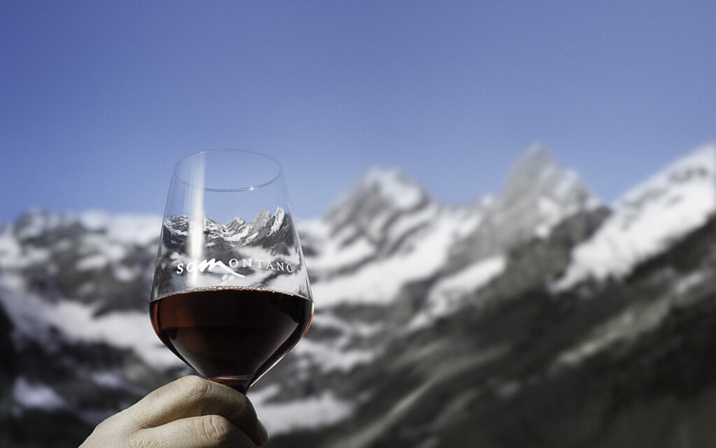 Vinos de Somontano, a los pies de los Pirineos