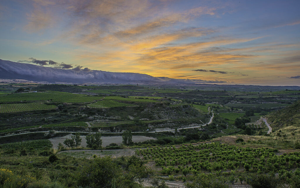 Los elegidos de La Rioja