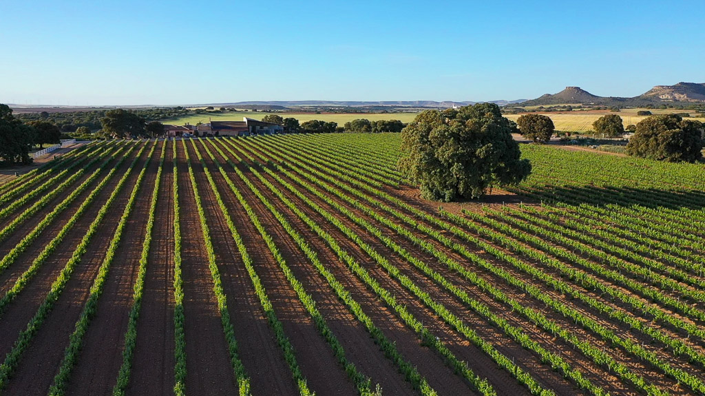 Hay vida más allá del rioja y ribera