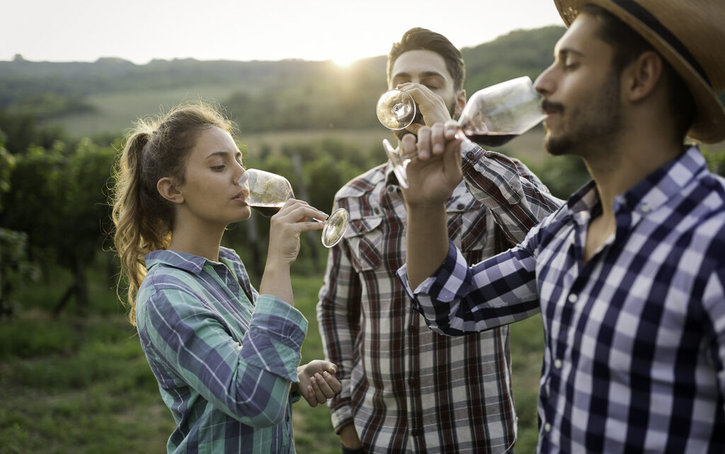 De la A a la Z: términos para hablar del sabor del vino