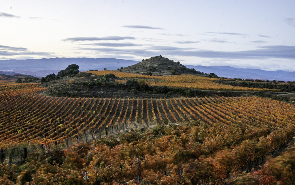 Rioja, una Denominación de película