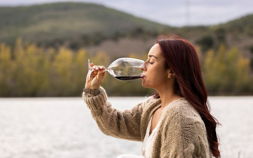 Estos son los vinos del Bierzo más valorados de la crítica internacional