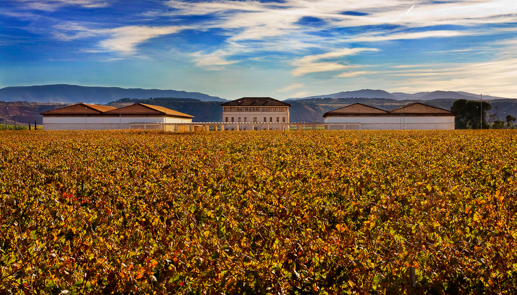 Rioja en la cima del mundo: sus vinos conquistan los 100 puntos de Parker