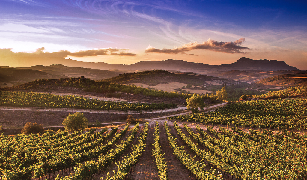 Trío de reservas de Rioja Alta, Alavesa y Oriental