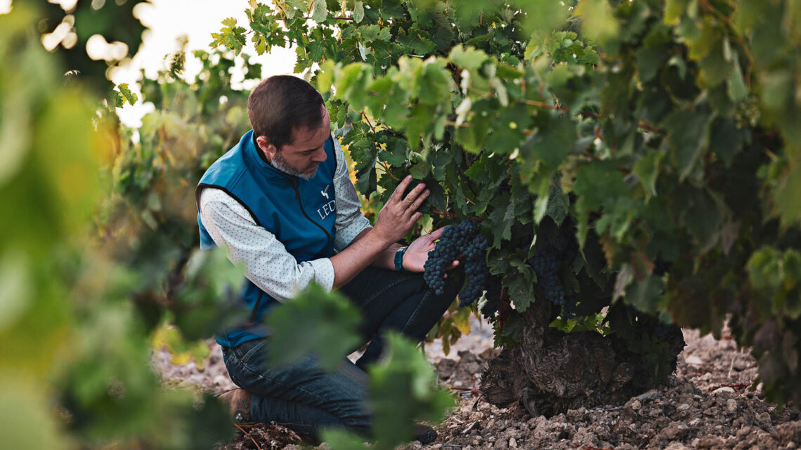 Castilla, Priorat y Rioja: tres formas de sentir el vino
