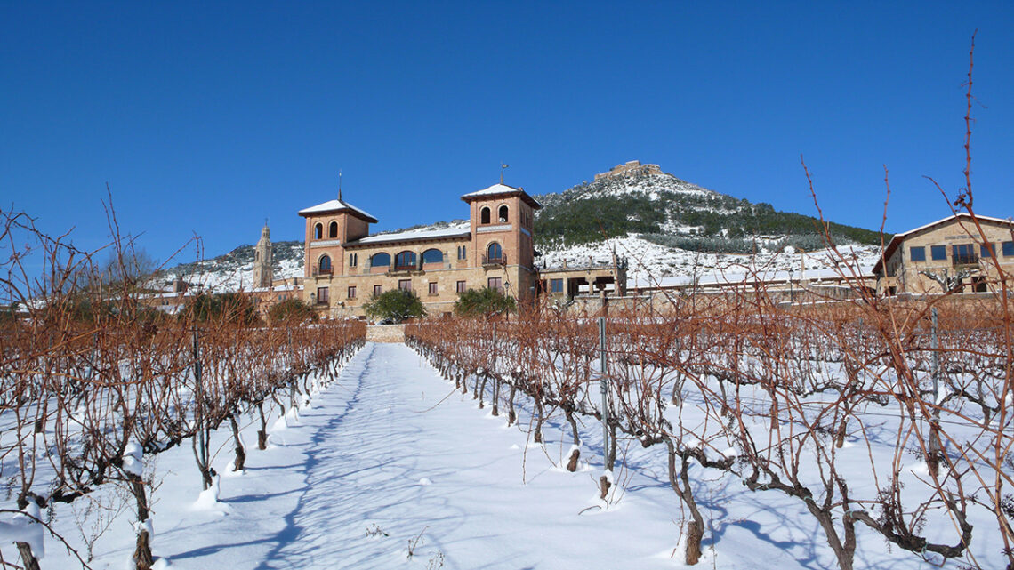 Tres tintos que muestran la pluralidad y el carácter de Navarra