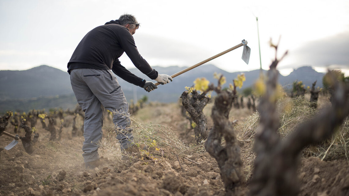 La Rioja que vuelve a su origen