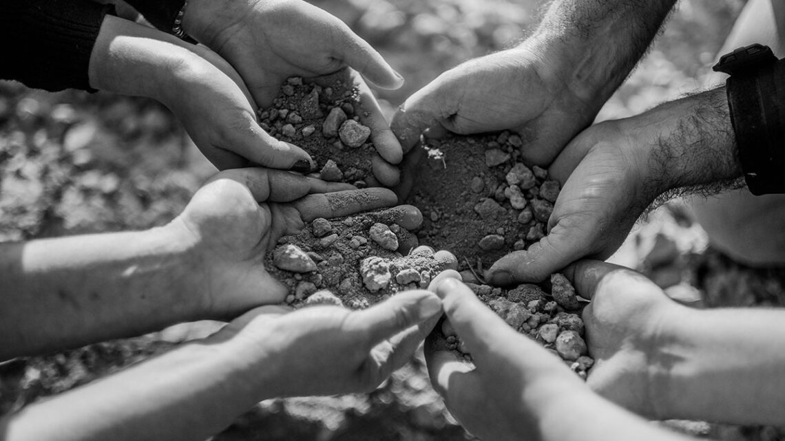 Empordà, Priorat y Terra Alta: un viaje de norte a sur entre mar, pizarra y secano