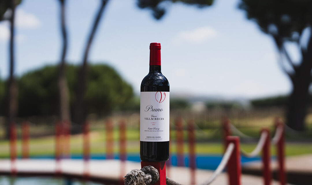 Pruno 2023 estrena imagen: así evoluciona uno de los vinos más reconocibles de Ribera del Duero