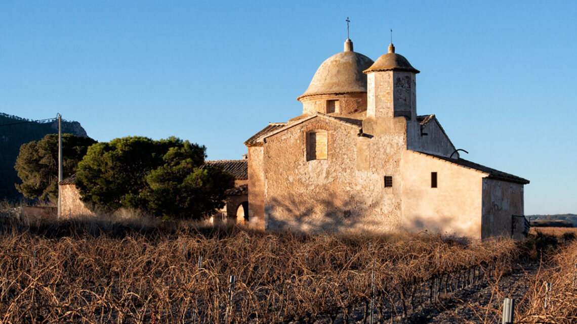 El Mediterráneo cabe en seis botellas: tres tintos para viajar de Jumilla al Penedès
