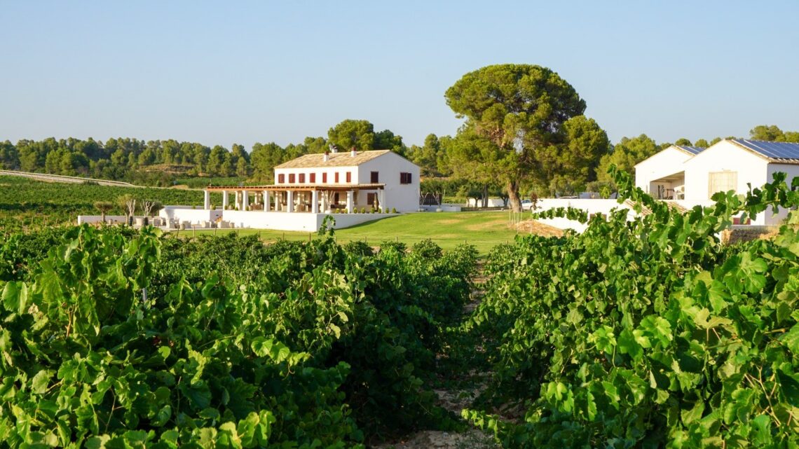 Clos Cor Ví celebra el 3 de octubre su gran fiesta de fin de vendimia y estrena una nueva generación de vinos