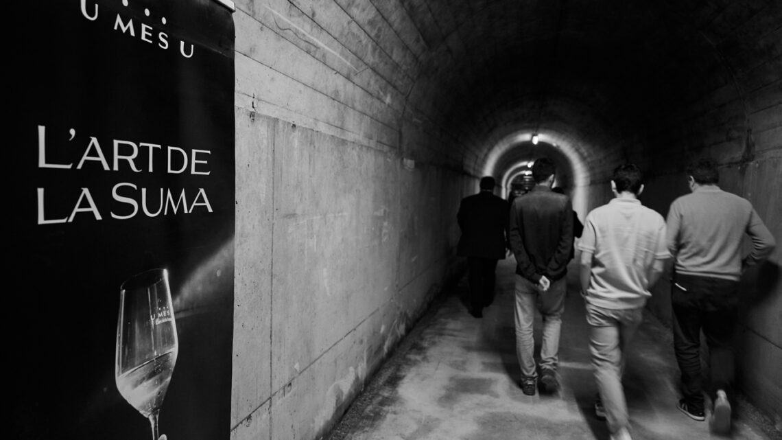 U MES U celebra 25 años de historia y presenta los vinos que marcarán su futuro
